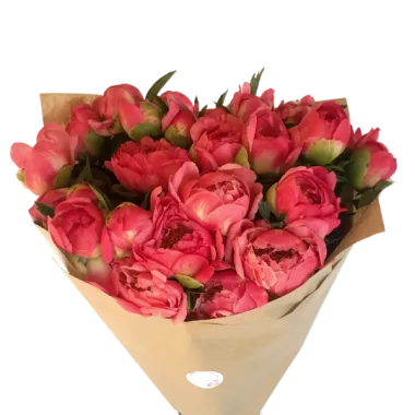 Buchet bujori corai