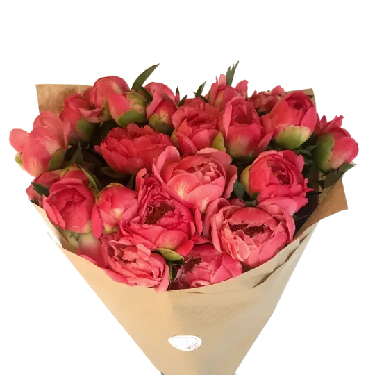 buchet-bujori-coral-25