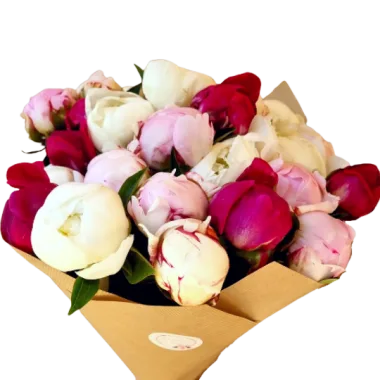 Buchet bujori mix