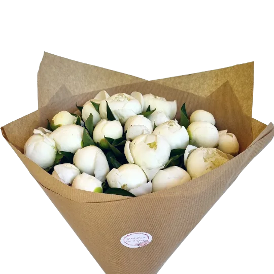 buchet-bujori-albi-25