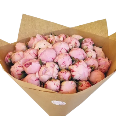Buchet bujori roz