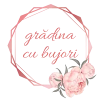 Bujori de vânzare | Buchete și abonamente