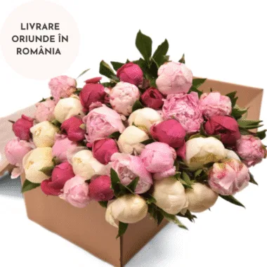 Livrare unică